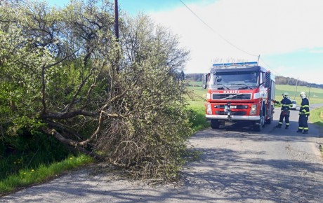 TP strom Úboč P.D.0002