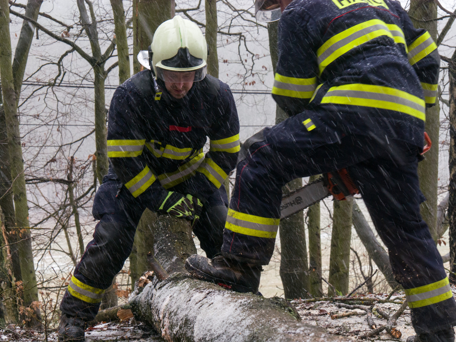 TP strom Zichov P.D.0007