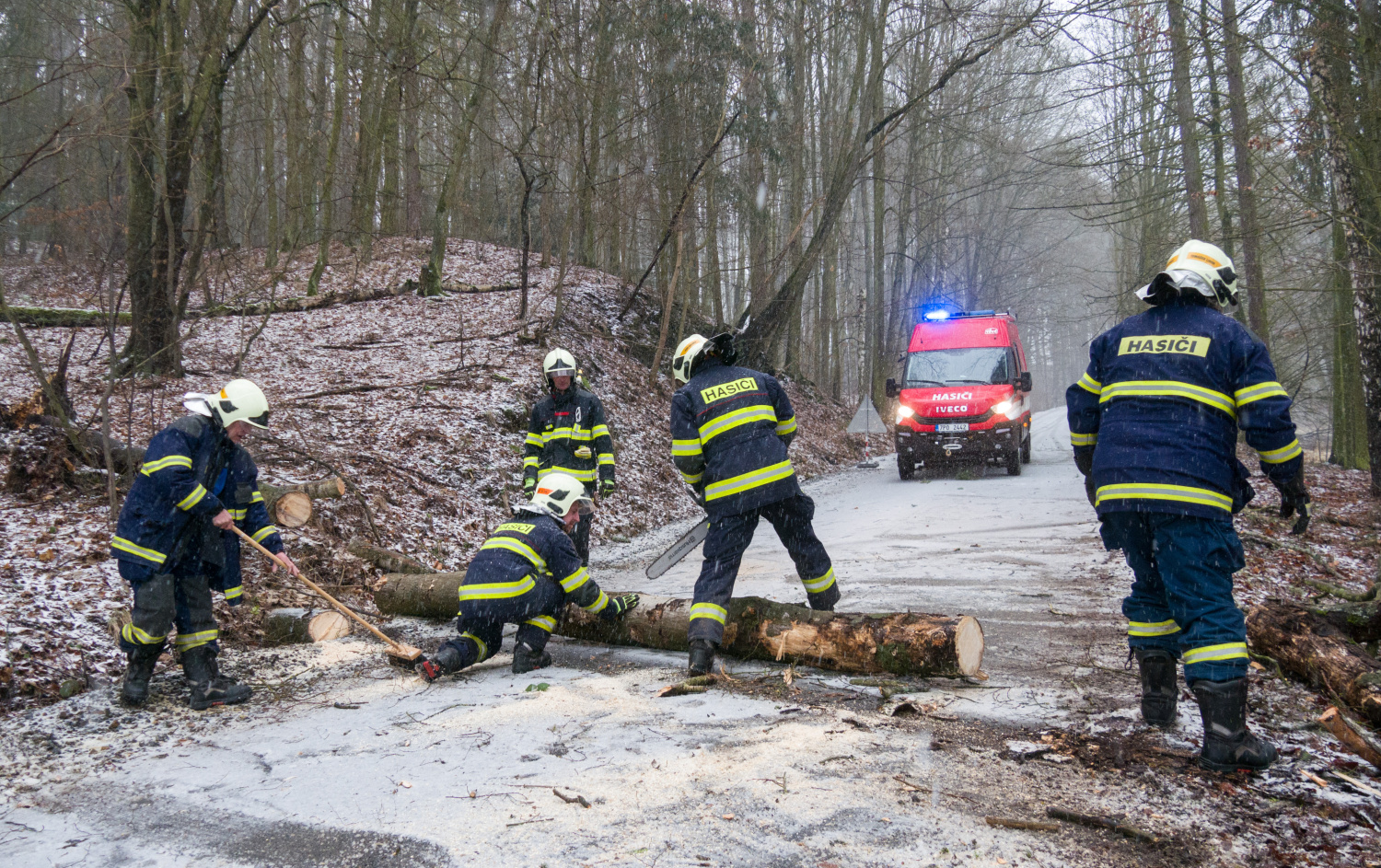 TP strom Zichov P.D.0010